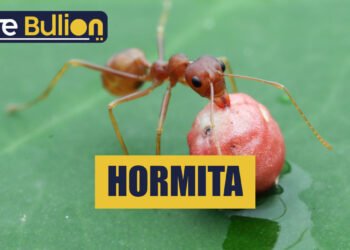 Hormita