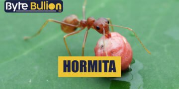 Hormita