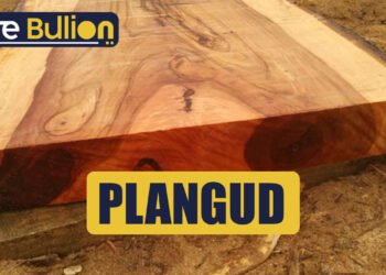 Plangud