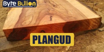 Plangud