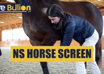 NS Horse Screen