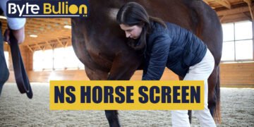 NS Horse Screen