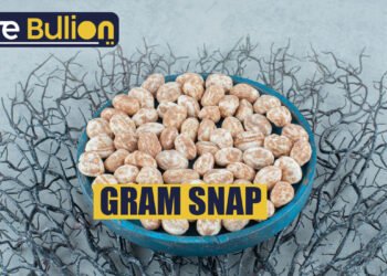 Gram Snap