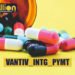 vantiv_intg_pymt